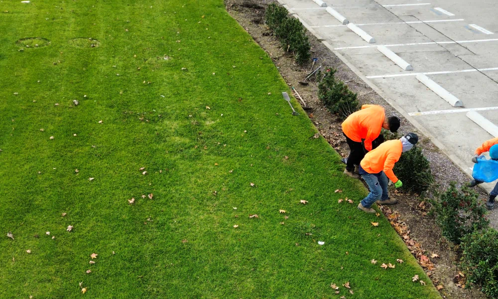 service irrigation repair work